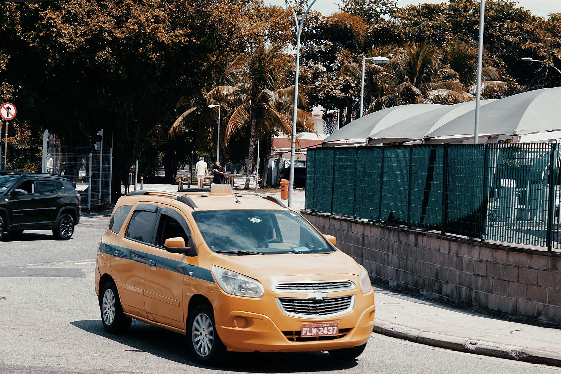 Clean taxi car on a palm-lined coastal road in Zanzibar